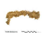 藏品(毛耳葉蘚)的圖片